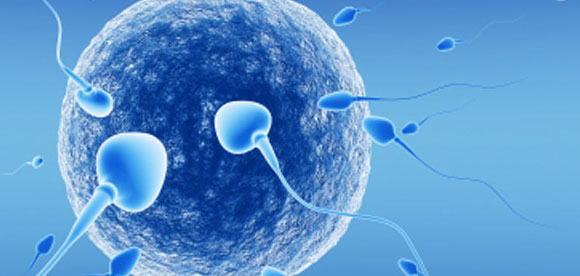 Bơm tinh trùng vào tử cung hiệu quả như thế nào?