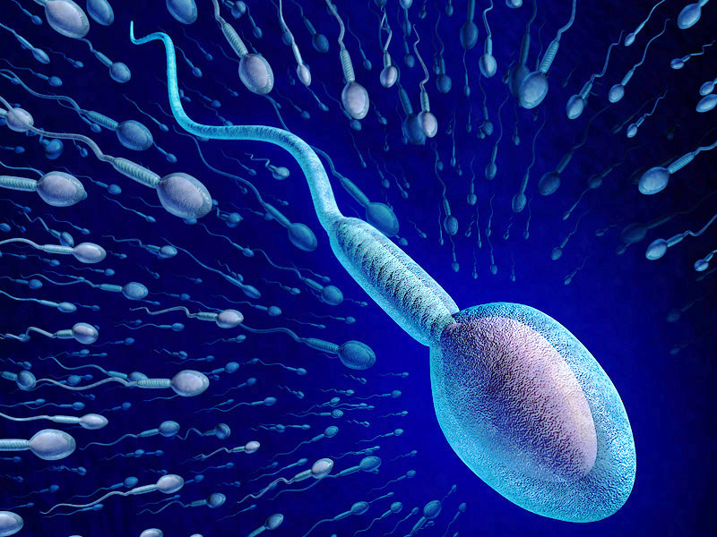 Tinh trùng sống được bao lâu: Yếu tố ảnh hưởng khả năng sinh sản