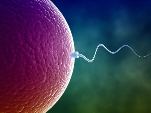 Thời gian tinh trùng gặp trứng bao lâu thì thụ thai?