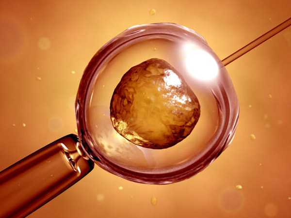 7 câu hỏi "thầm kín" về thụ tinh trong ống nghiệm IVF