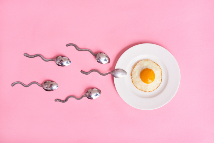 Muốn mang thai, hãy dùng ngay 10 thực phẩm tốt cho trứng sau