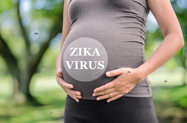 Virut Zika và dị tật đầu nhỏ: Mối nguy đáng sợ cho thai nhi