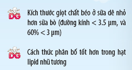 Sự khác biệt về chất béo tạo nên giá trị khác biệt cho sữa dê công thức - Nguồn dinh dưỡng thuần tự nhiên