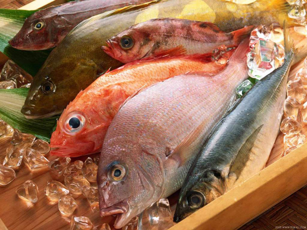 5 loại cá an toàn trong thực đơn cho bé tập ăn dặm