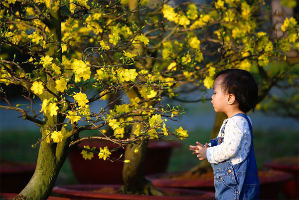 Kinh nghiệm hay khi bé đi chợ Tết