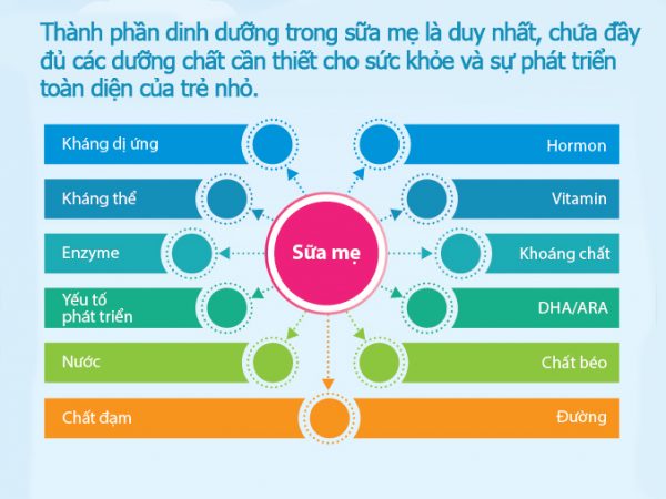 Dinh dưỡng giai đoạn sớm cho trẻ khỏe mạnh