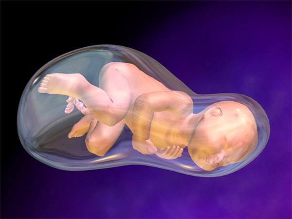 Nhiễm nấm làm tăng nguy hiểm trong thai kỳ