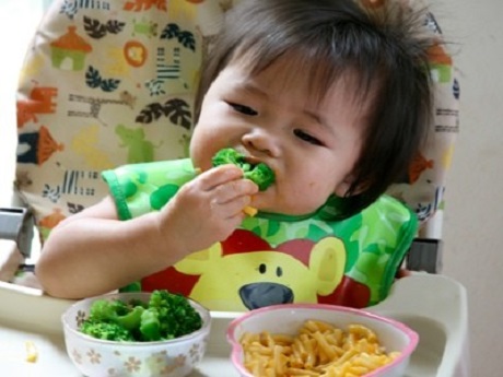 Thử phương pháp ăn dặm kiểu BLW – do bé tự chỉ huy
