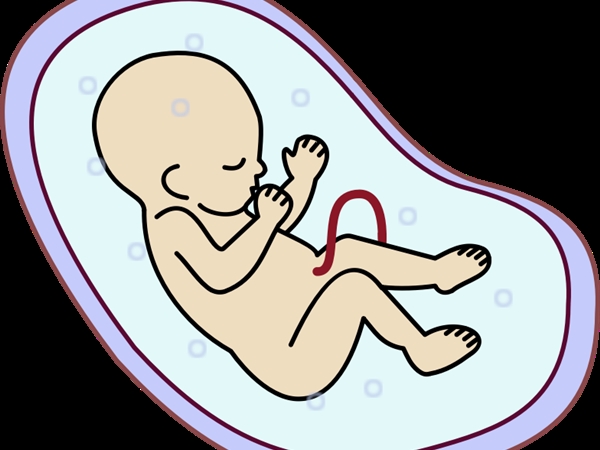 Mách mẹ 20 điều thú vị về sự phát triển của thai nhi