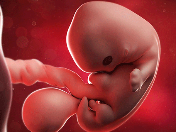 Những sự thật về thai kỳ hiếm khi bác sĩ tiết lộ với bà bầu