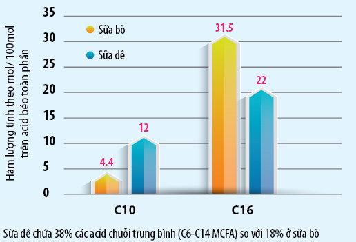 Có phải sữa dê công thức chỉ dễ tiêu hóa và hấp thu?