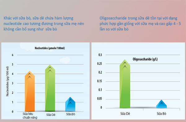 Có phải sữa dê công thức chỉ dễ tiêu hóa và hấp thu?