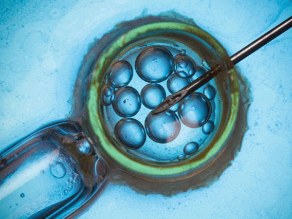 Thụ tinh trong ống nghiệm IVF không phải là "thần dược"