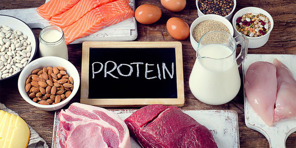 Những thực phẩm giàu protein mẹ bầu nên lưu vào thực đơn